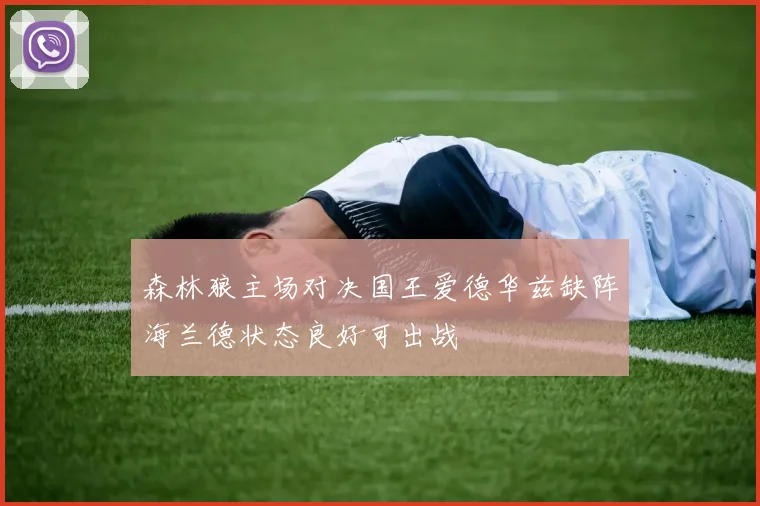 森林狼主场对决国王爱德华兹缺阵海兰德状态良好可出战