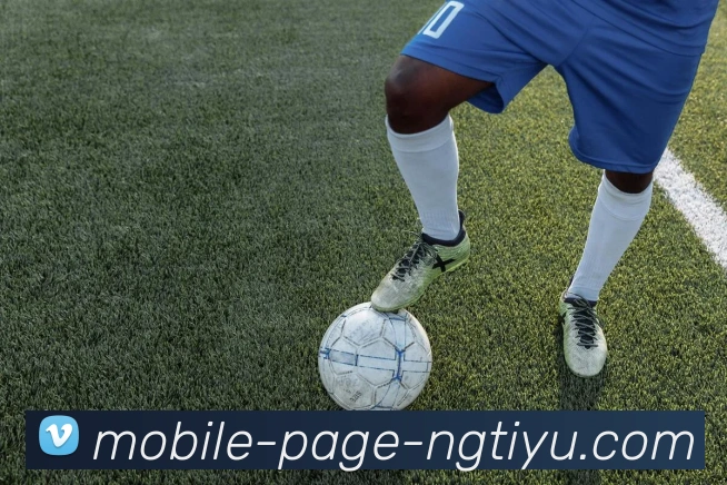 多媒体互动体验