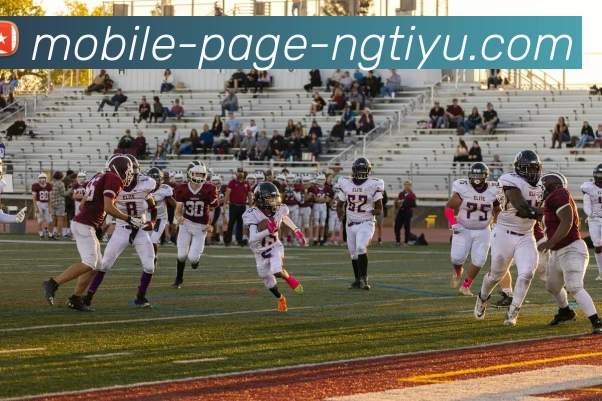 南宫体育APP 高清赛事图