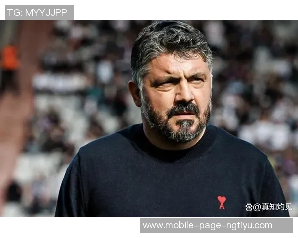 泰尔齐奇谈意甲兴趣加图索有能力打造强大意大利队